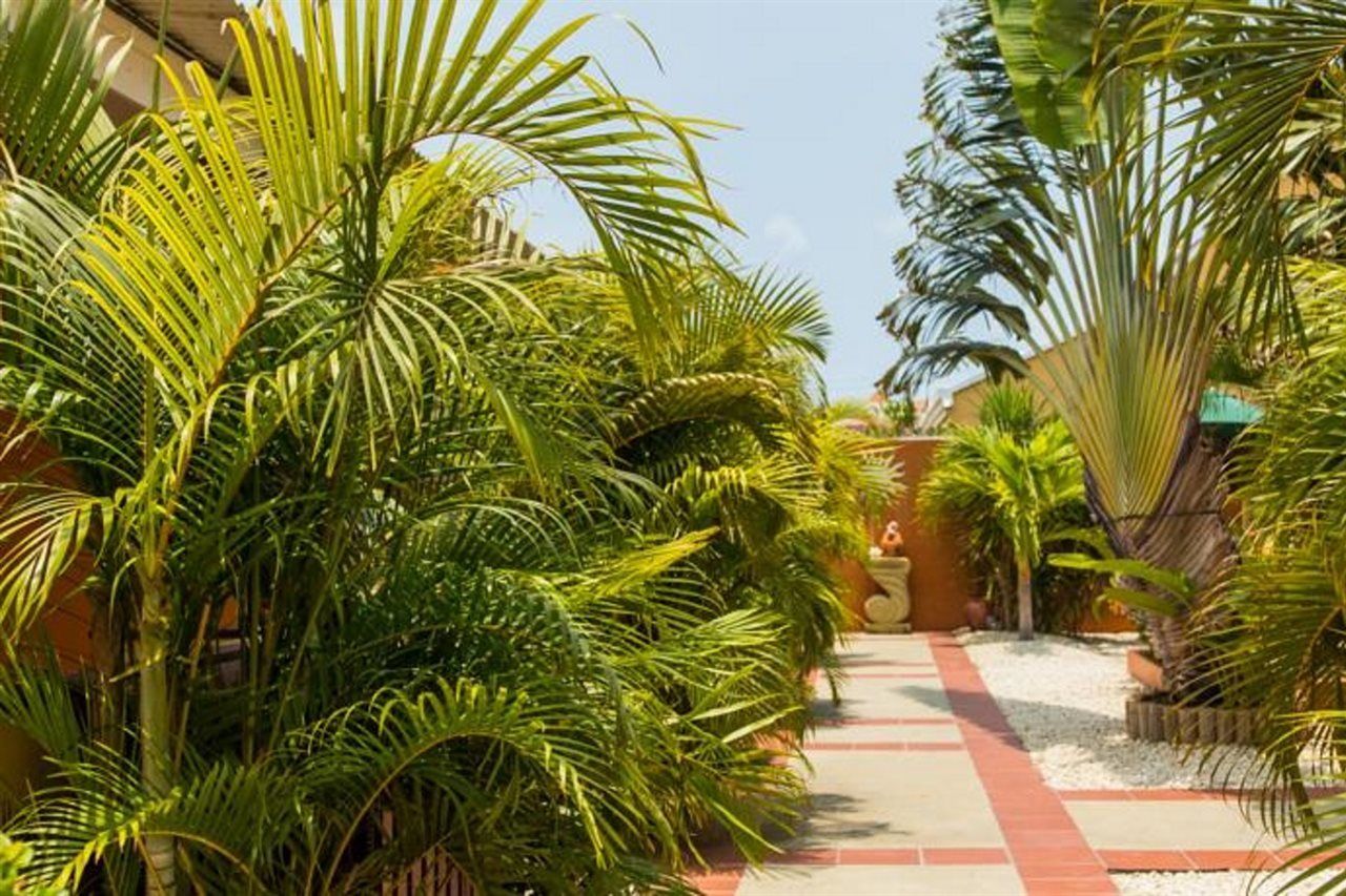 Cariñas Studio Apartments Palm Beach Exterior foto