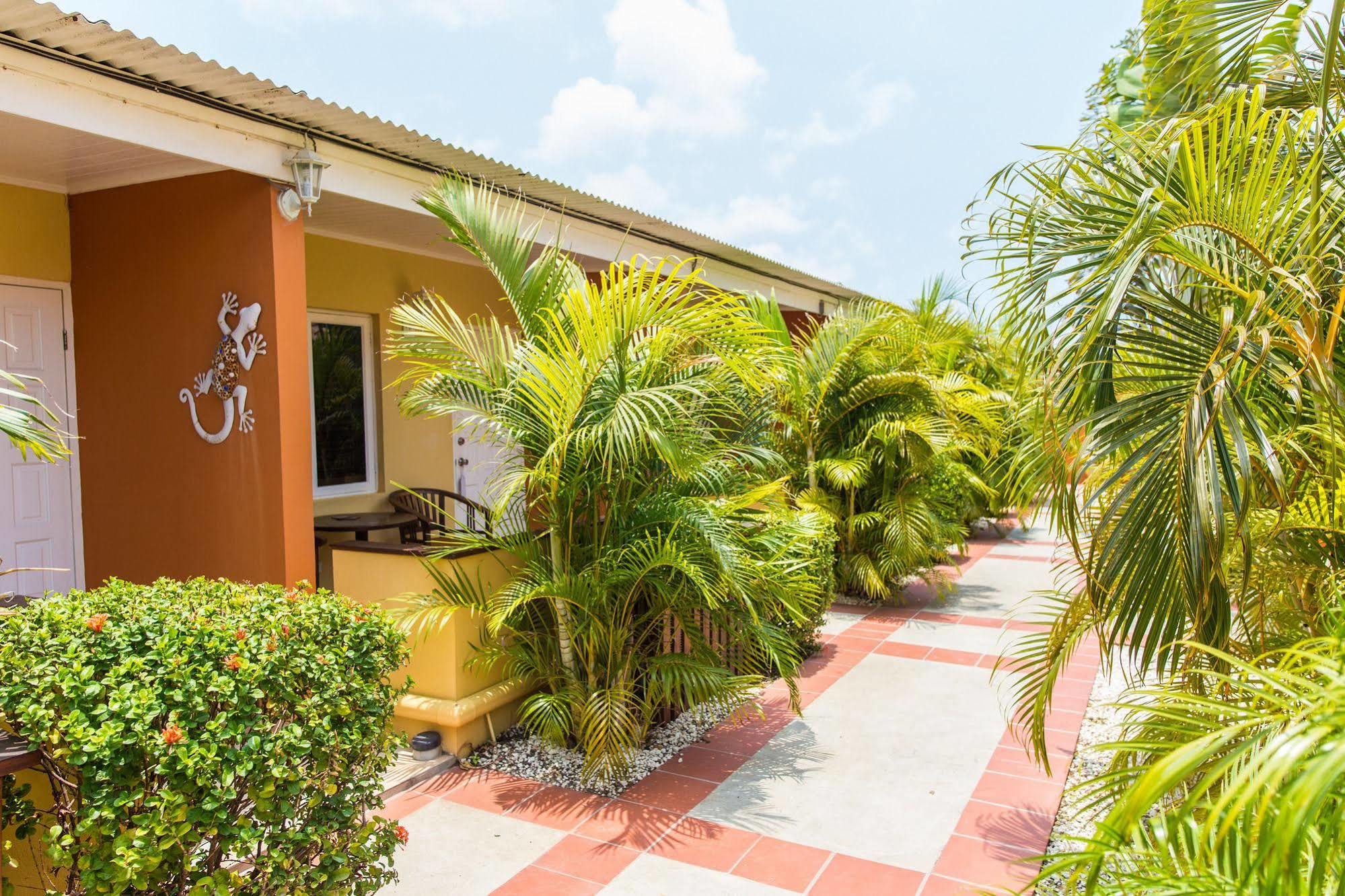 Cariñas Studio Apartments Palm Beach Exterior foto