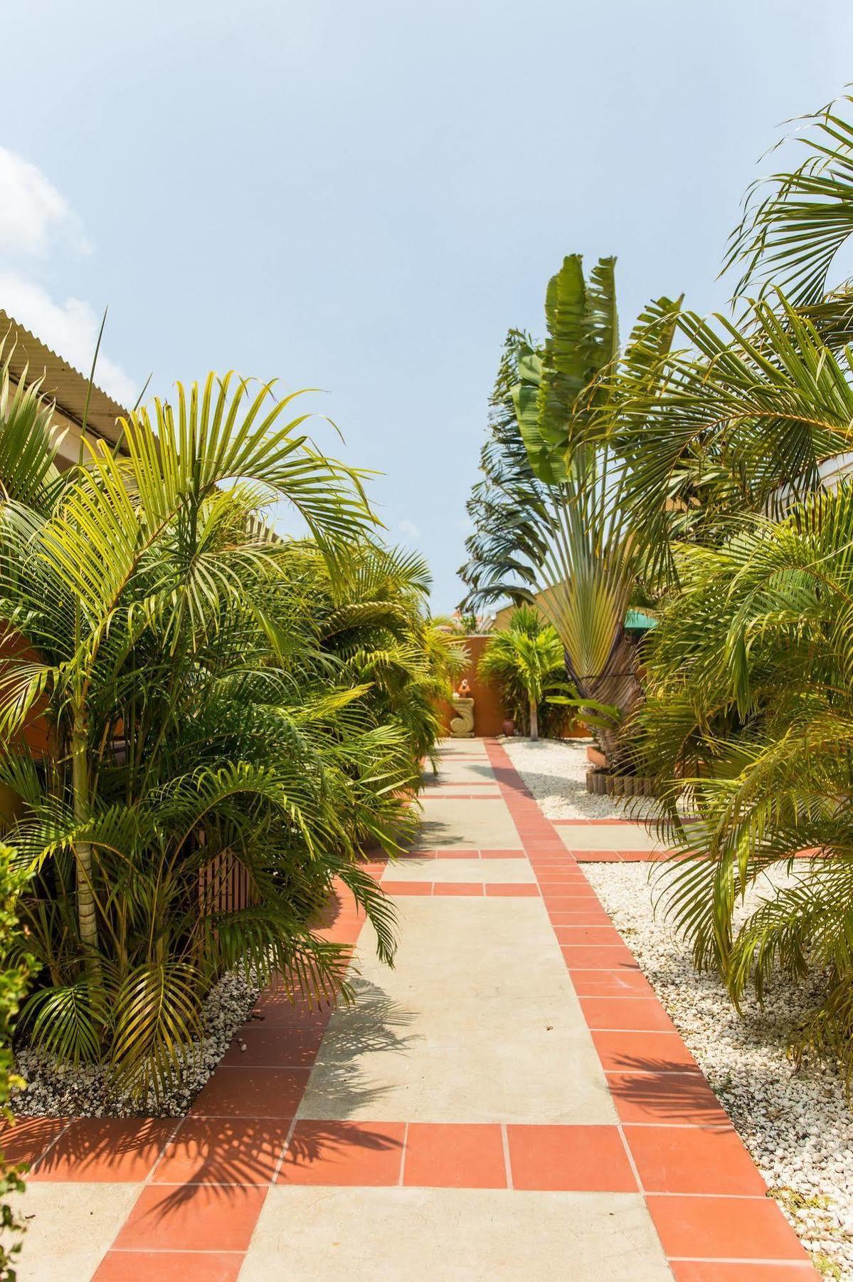 Cariñas Studio Apartments Palm Beach Exterior foto